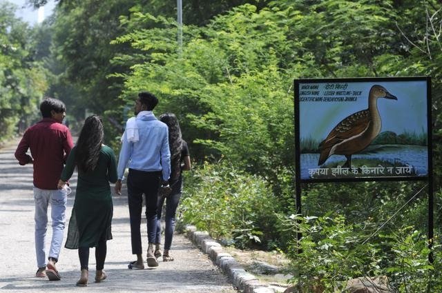 Okhla Bird Sanctuary