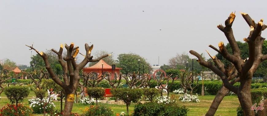 Japanese Park